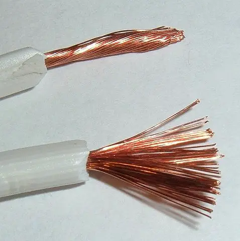 A conducting wire, showing both the conductor and insulating sheath.