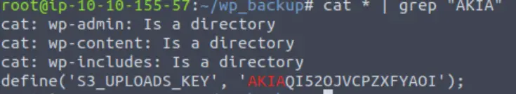 greping the file for AKIA