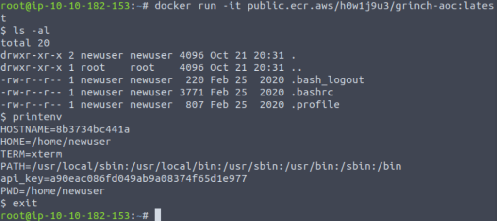 Using linux commands and exiting Docker shell.