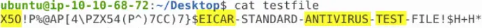 Using cat to read testfile.