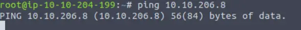 Using the ping utility to detect a target.