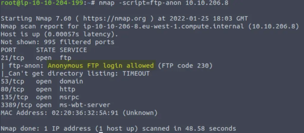Output of ftp-anon script in nmap.