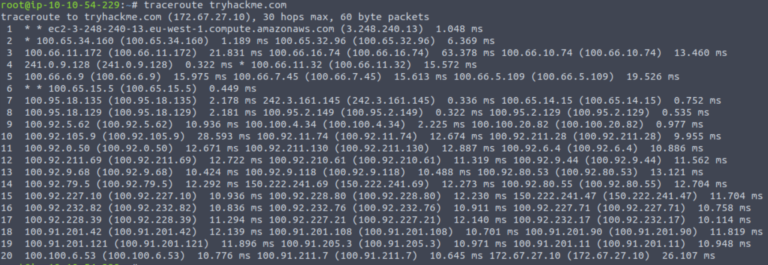 TryHackMe - Introductory Networking - Walkthrough - Electronics Reference