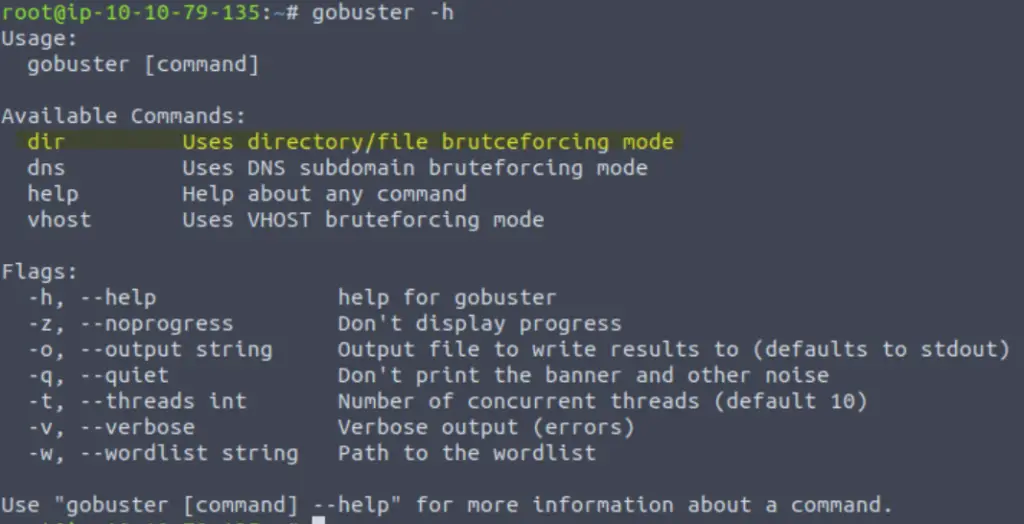 Directory bruteforcing with gobuster.