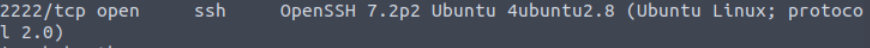 Enumerating port 2222 on Simple CTF.
