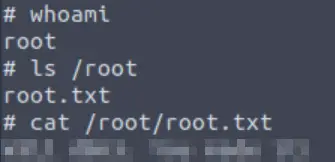 Getting the root flag on Simple CTF.
