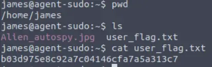 User flag in Agent Sudo.