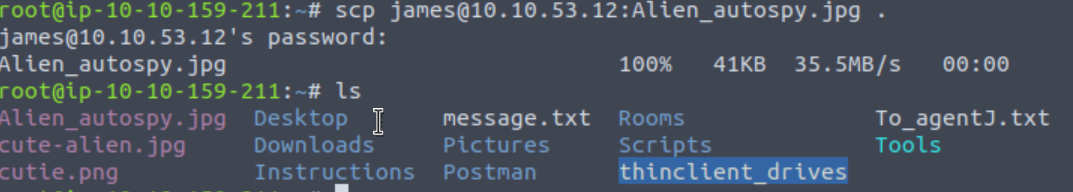 TryHackMe - Agent Sudo Walkthrough - Electronics Reference