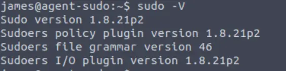 Sudo -v Agent Sudo