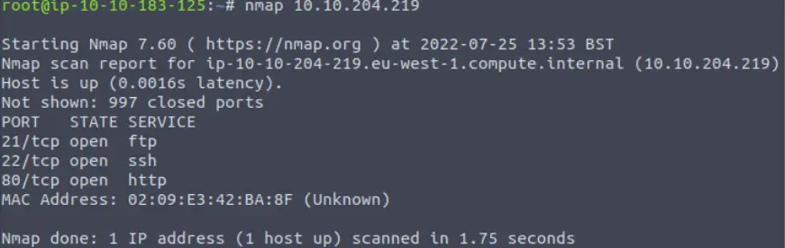 Agent Sudo nmap.