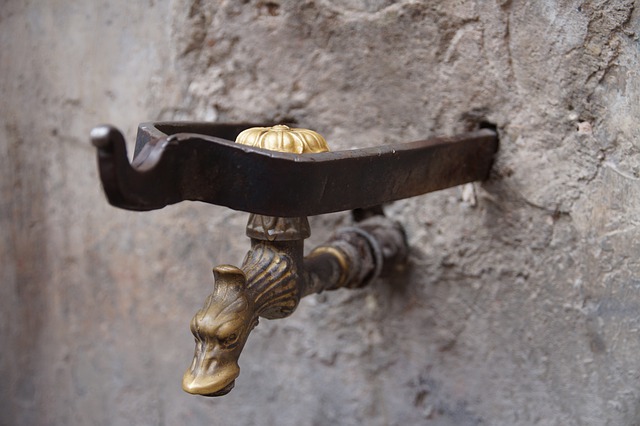 Antique brass plumbing fixture