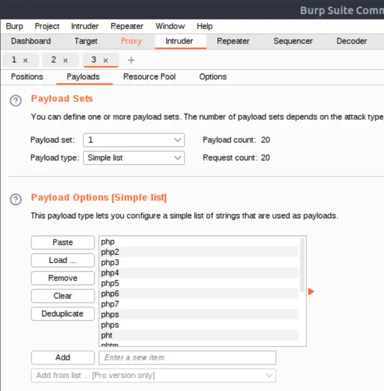 Payload for the Intruder attack