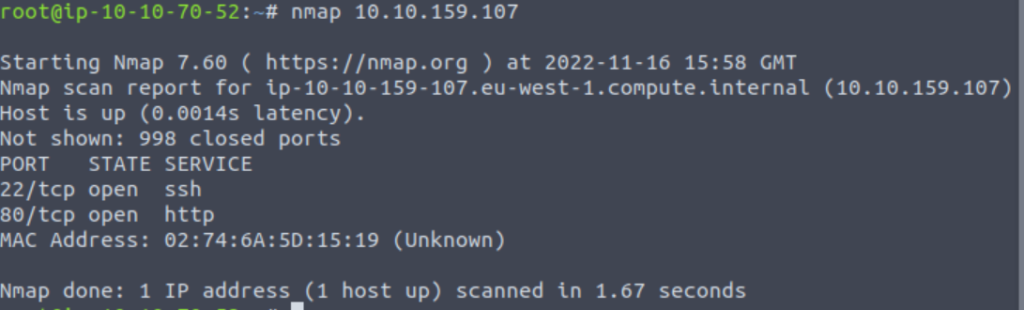 Performing an nmap scan on TryHackMe RootMe.