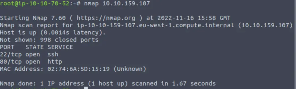 Performing an nmap scan on TryHackMe RootMe.