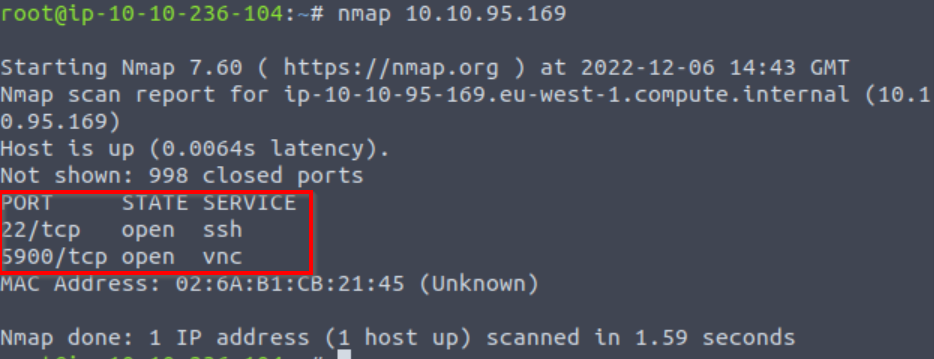 Nmap scan on TryHackMe Advent of Cyber Day 5.