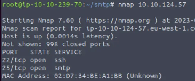 Nmap on the SMTP box on TryHackMe Network Services 2