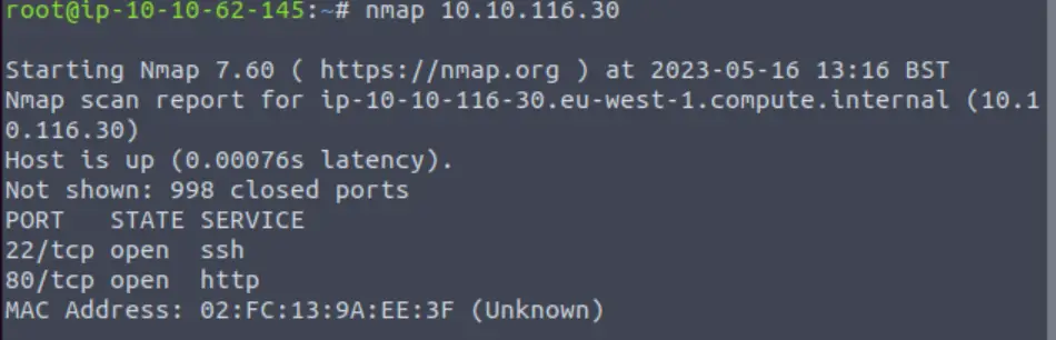 Running nmap on TryHackMe Smag Grotto