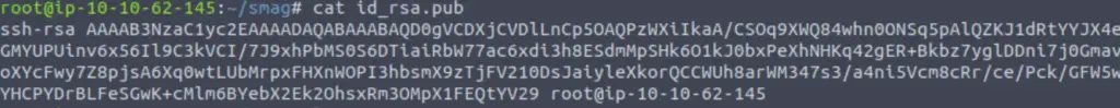 Getting the public RSA key TryHackMe Smag Grotto.