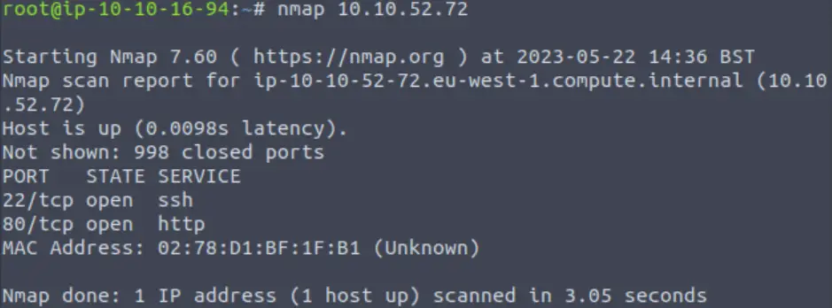 Running nmap on TryHackMe Wgel CTF.