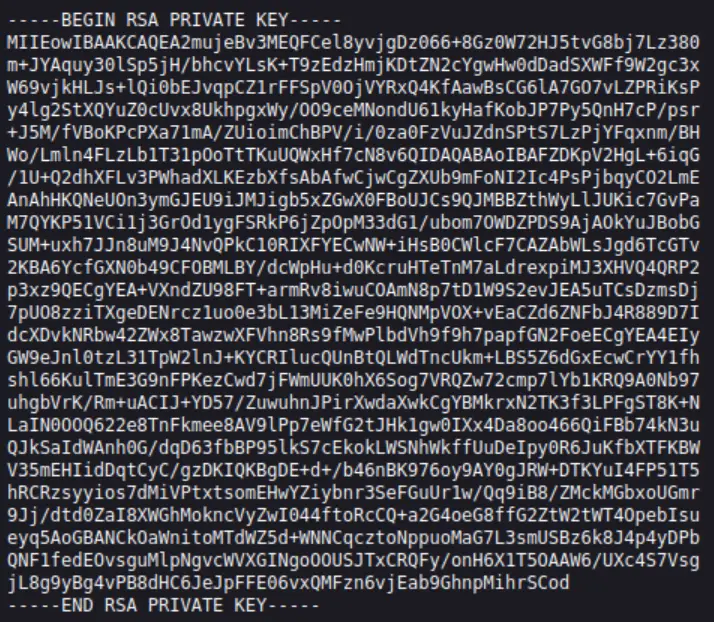 Getting the RSA private key on Wgel CTF.