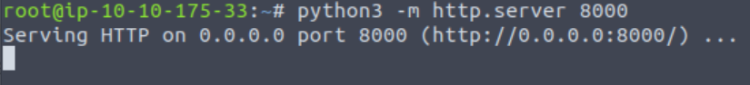 Starting a python simple http server