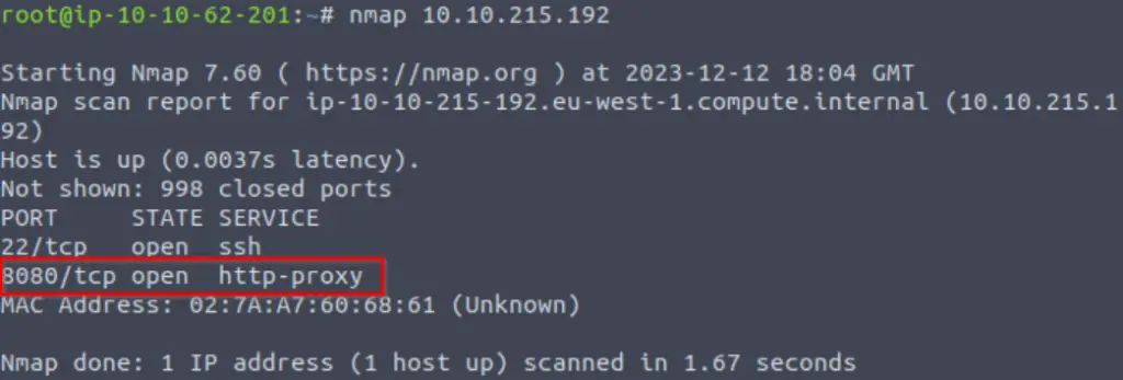 nmap Advent of Cyber 2023 Day 12