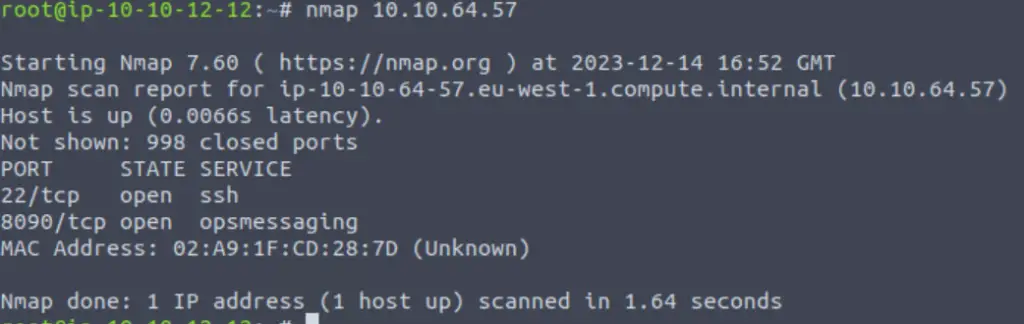Nmap Advent of Cyber 2023 Day 13
