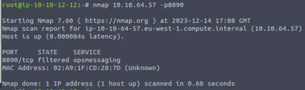 Checking nmap TryHackMe Advent of Cyber 2023 Day 13