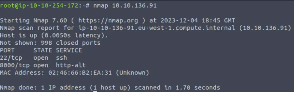 Running nmap against the target in Advent of Cyber 2023 Day 3.