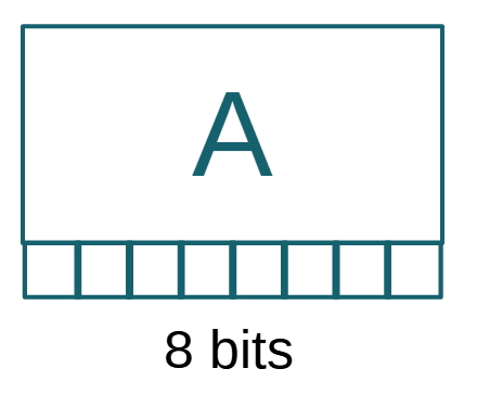 The 8-bit A register.