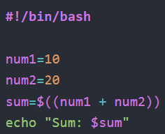 Variables in a Bash script.